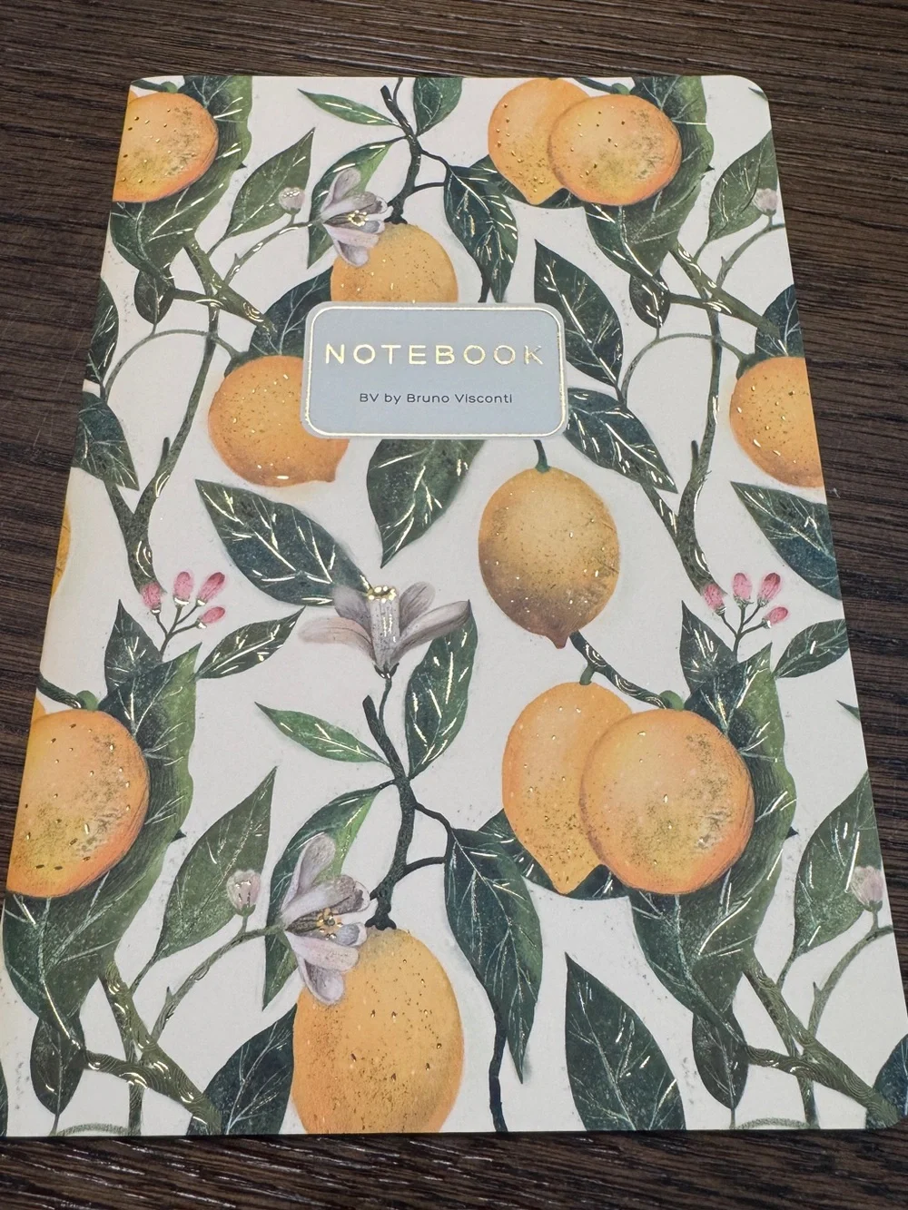 Bruno Visconti Soft Touch Lemons Notebook Journal A5 NEW
